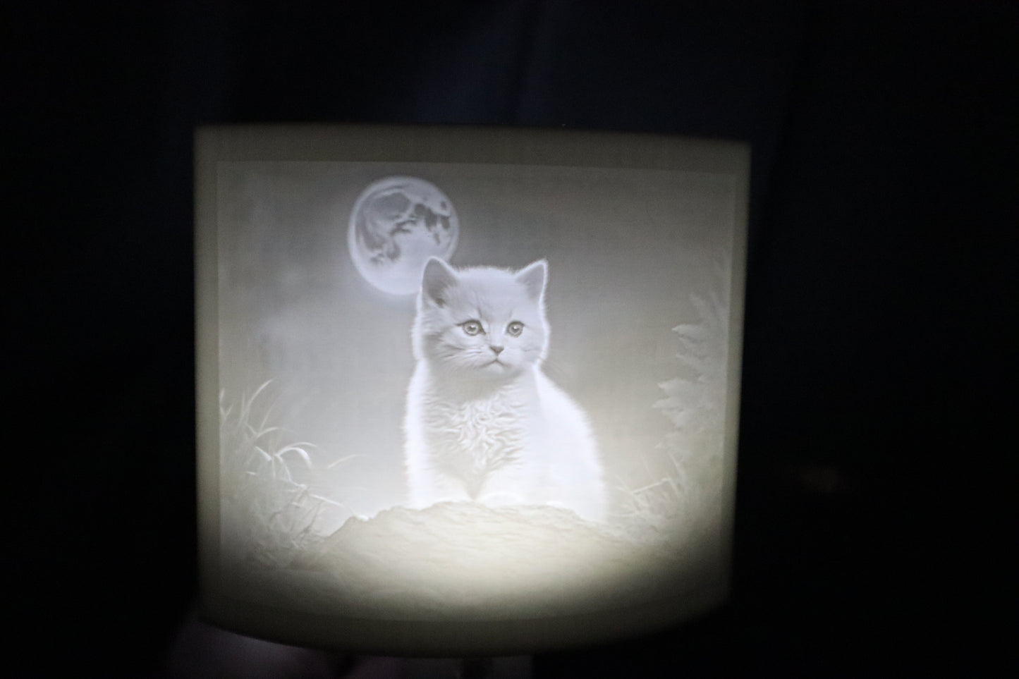 Lithophane Night Light